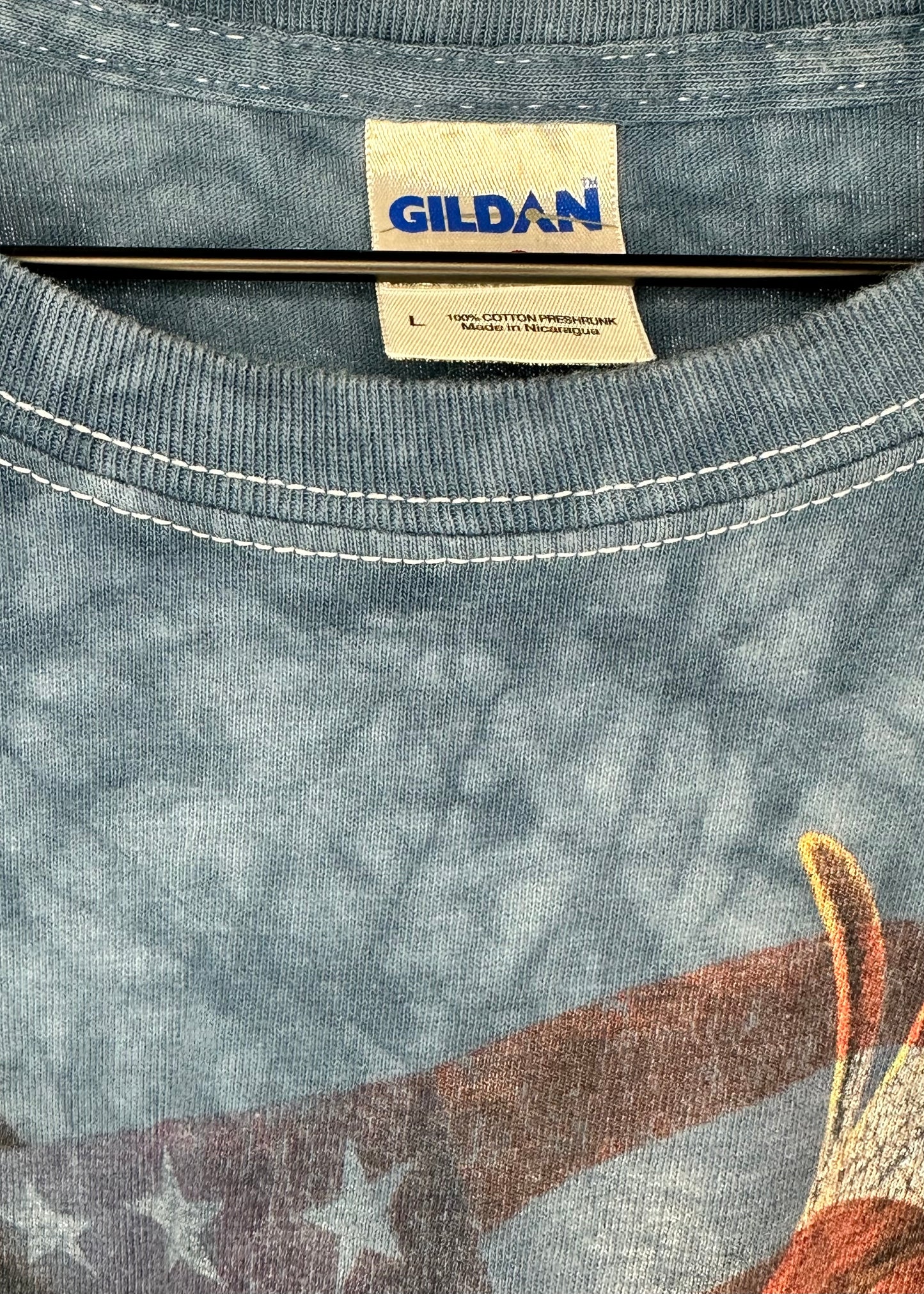 Bald Eagle T-Shirt