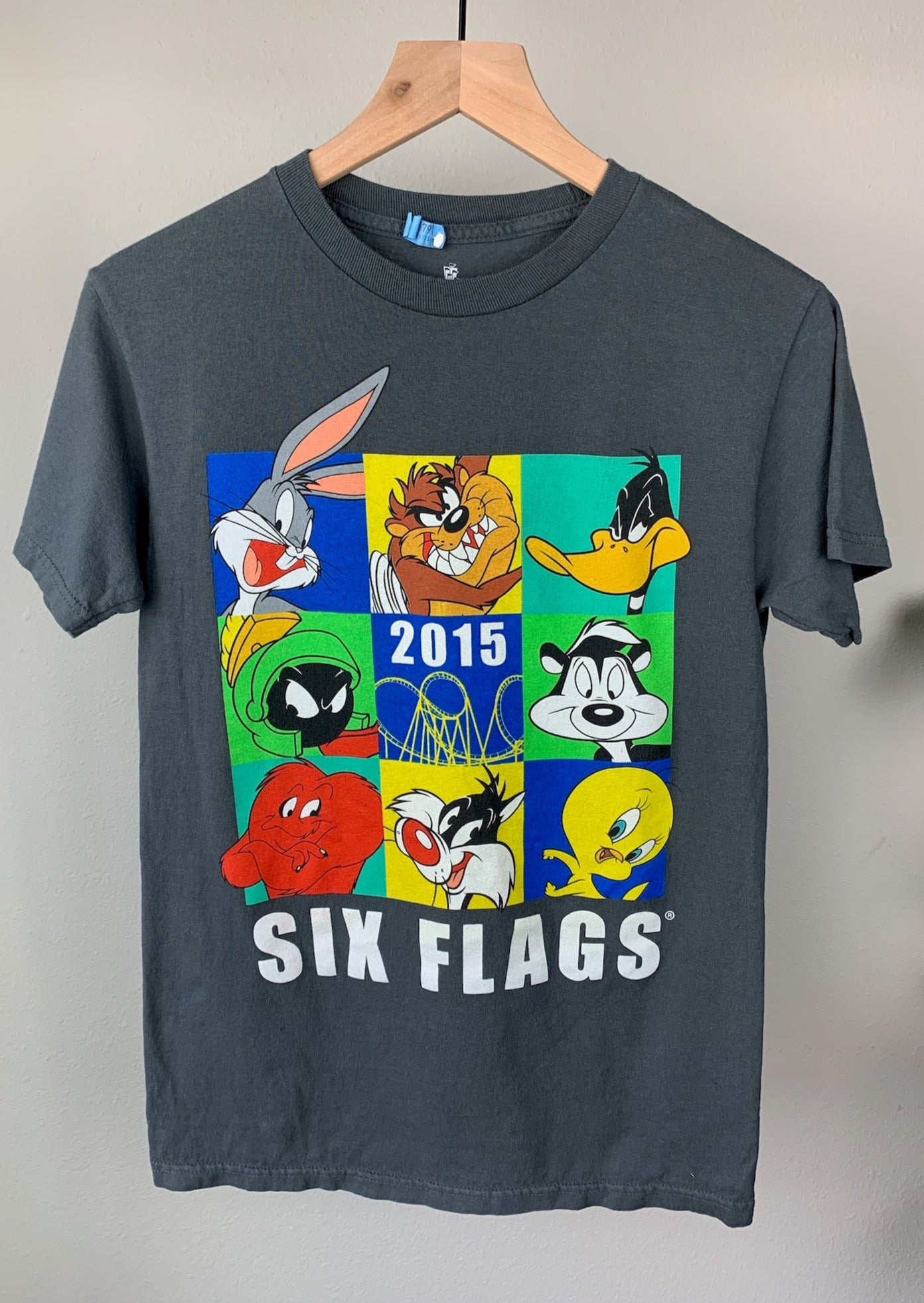 Six Flags Circa 2015