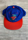 Florida Gators Hat