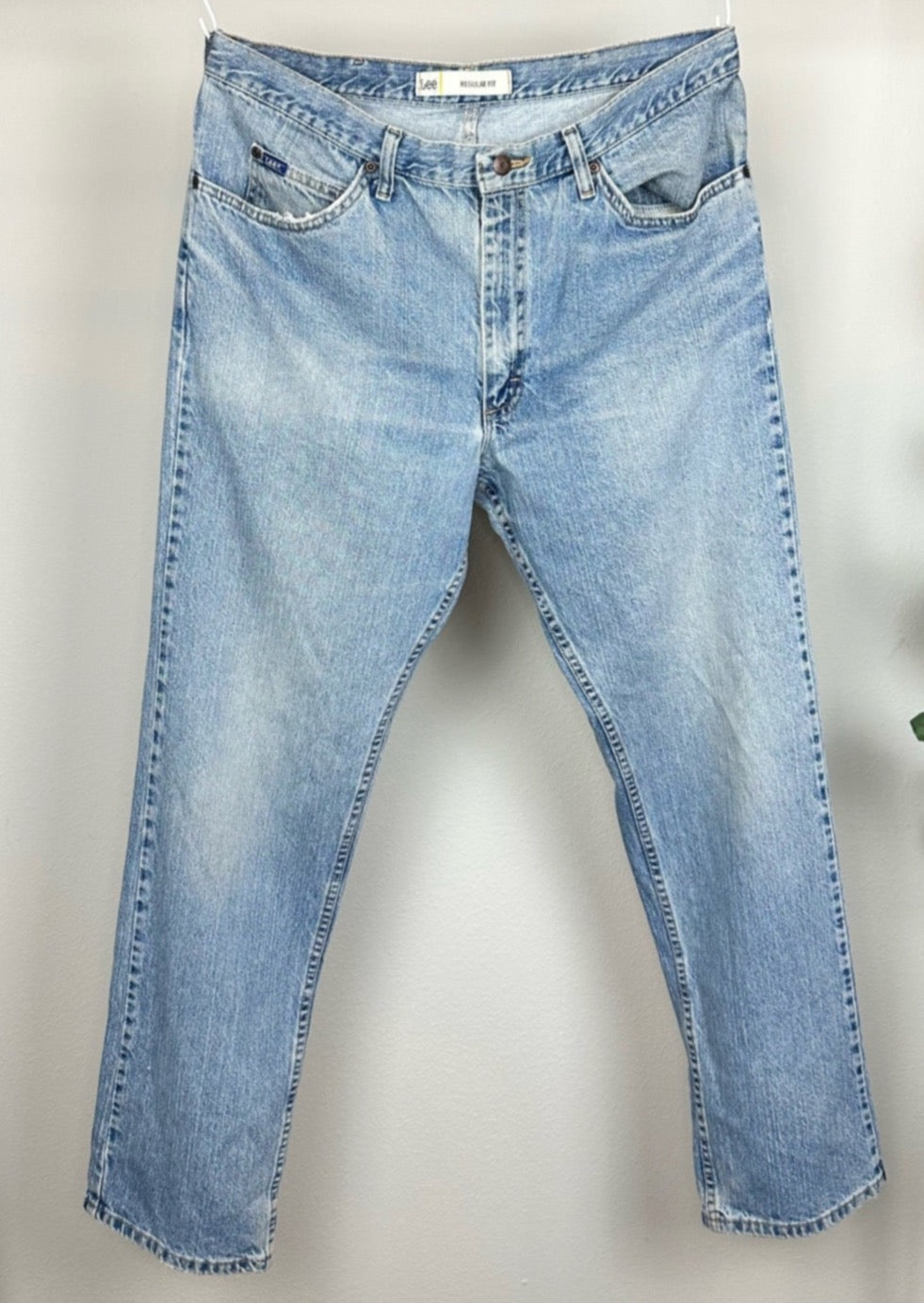 Regular Fit Men's Jeans by Lee